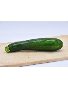 Courgette Bio