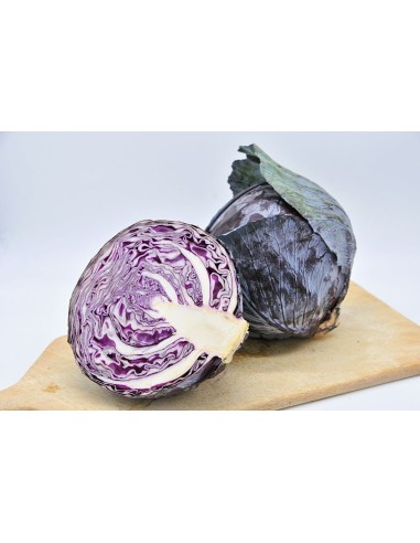 Chou Rouge Bio