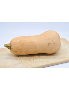Butternut Bio