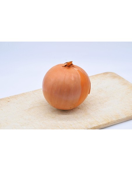 Oignon jaune Bio