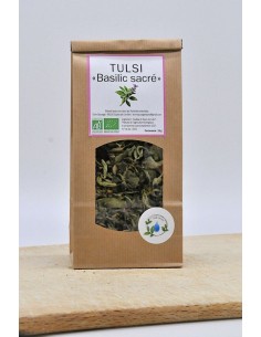 Tulsi "Basilic sacré"