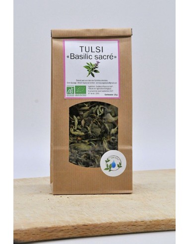 Tulsi "Basilic sacré"