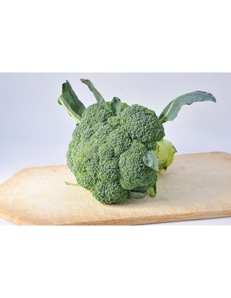Brocoli Bio