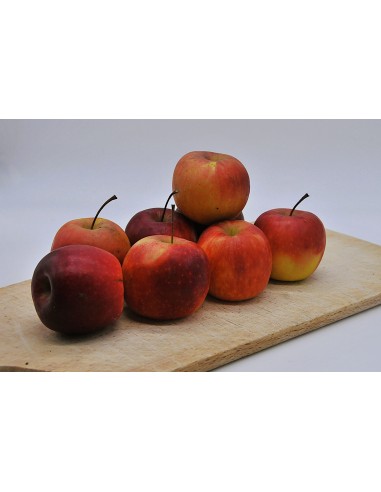 Pomme Stori Bio
