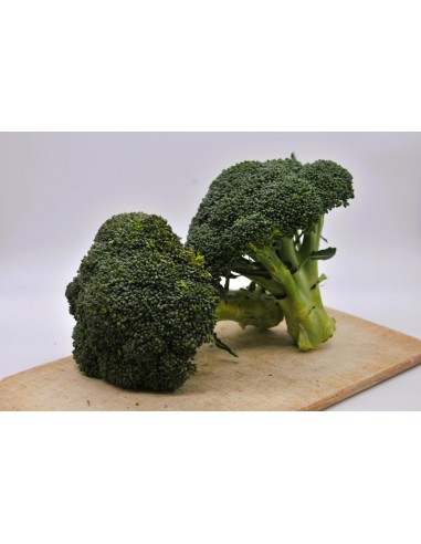 Brocoli Bio