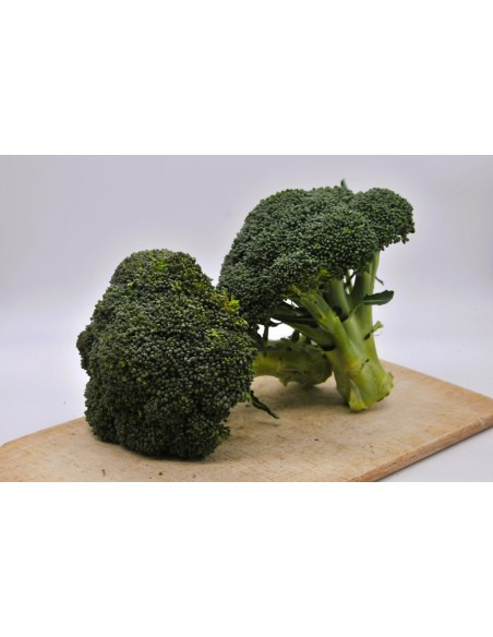 Brocoli Bio