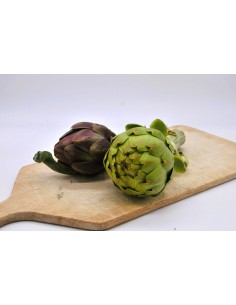 Artichaut violet