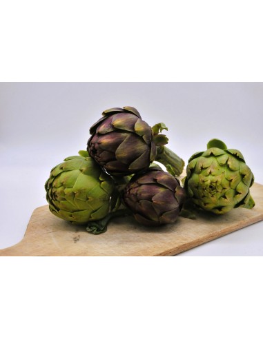 Artichaut violet