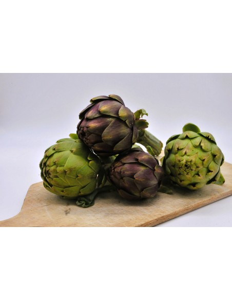 Artichaut violet