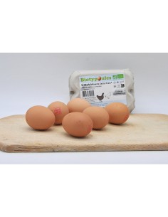Boîte de 6 oeufs Bio extra-frais - biotypoules - dici&daqui