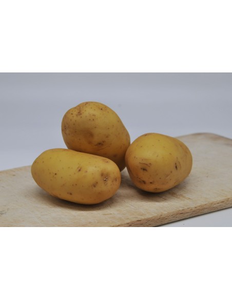 Pomme de terre (1kg)