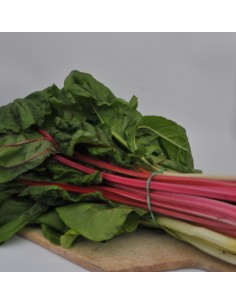 Botte de Blettes couleurs Bio