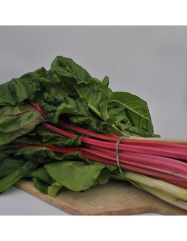 Botte de Blettes couleurs Bio