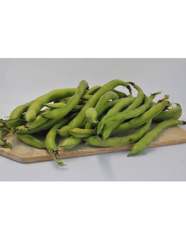 Fèves Bio
