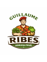 Guillaume Ribes